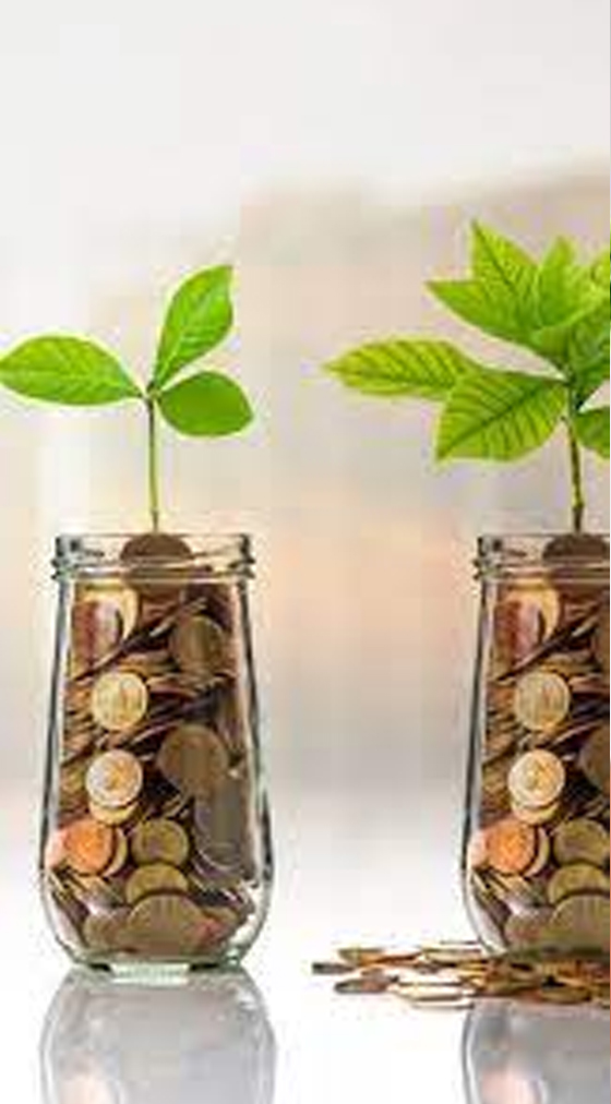 تنويع الاقتصاد وتطوير القطاعات